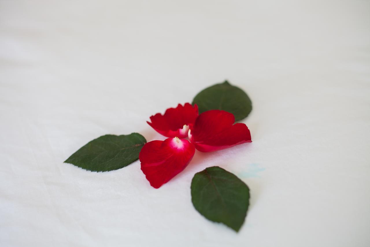 Sapa Tulip Hotel Zewnętrze zdjęcie
